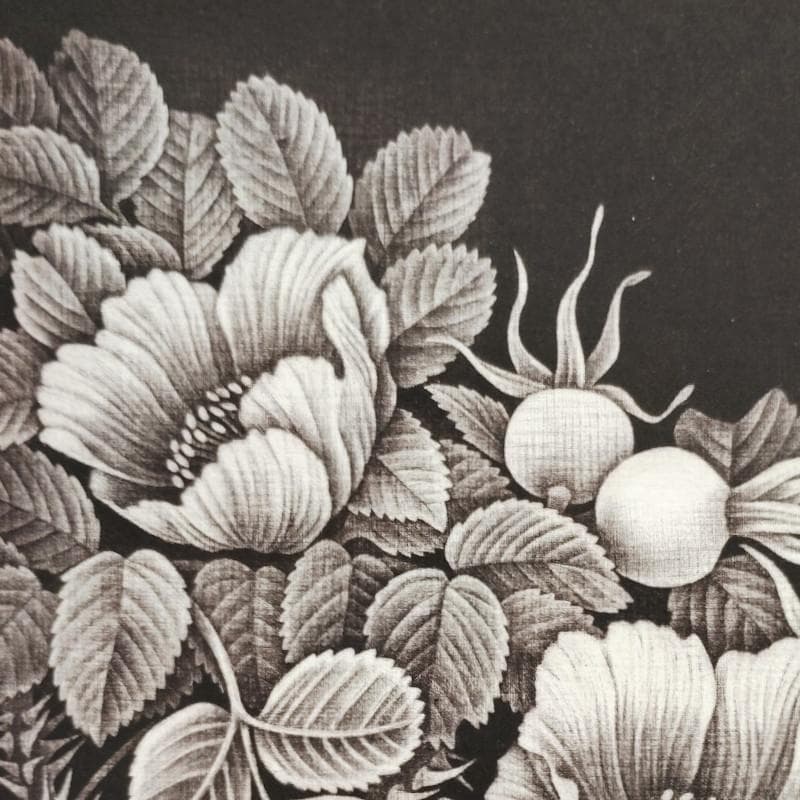 ☆林 董子☆「はまなす」銅版画　八ツサイズ　ED20/150　未使用！