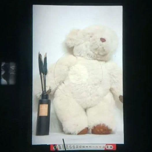 良品 Nikon ニコンFE シルバー 清掃 モルト交換 整備済 光学 極上品