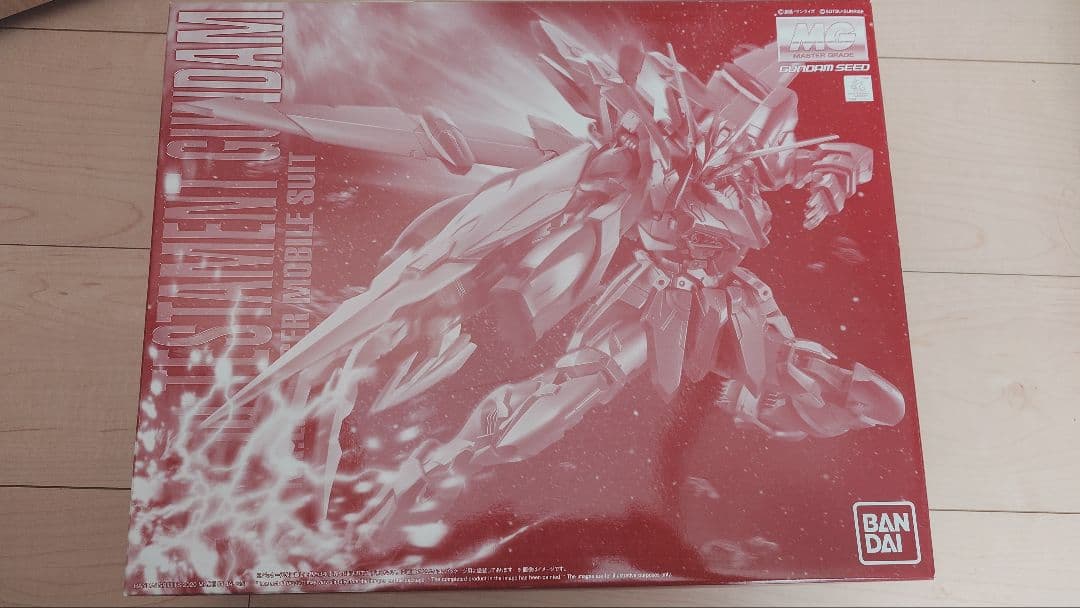 MG 1/100 テスタメントガンダム