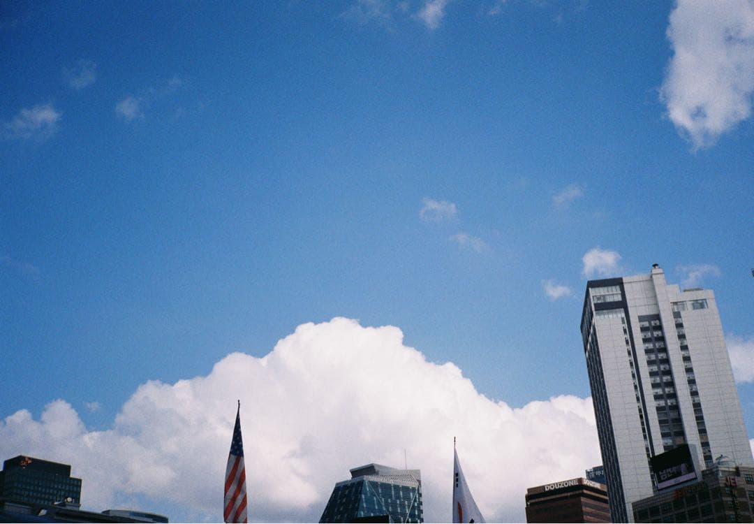 ［飛べる豚。さま専用］