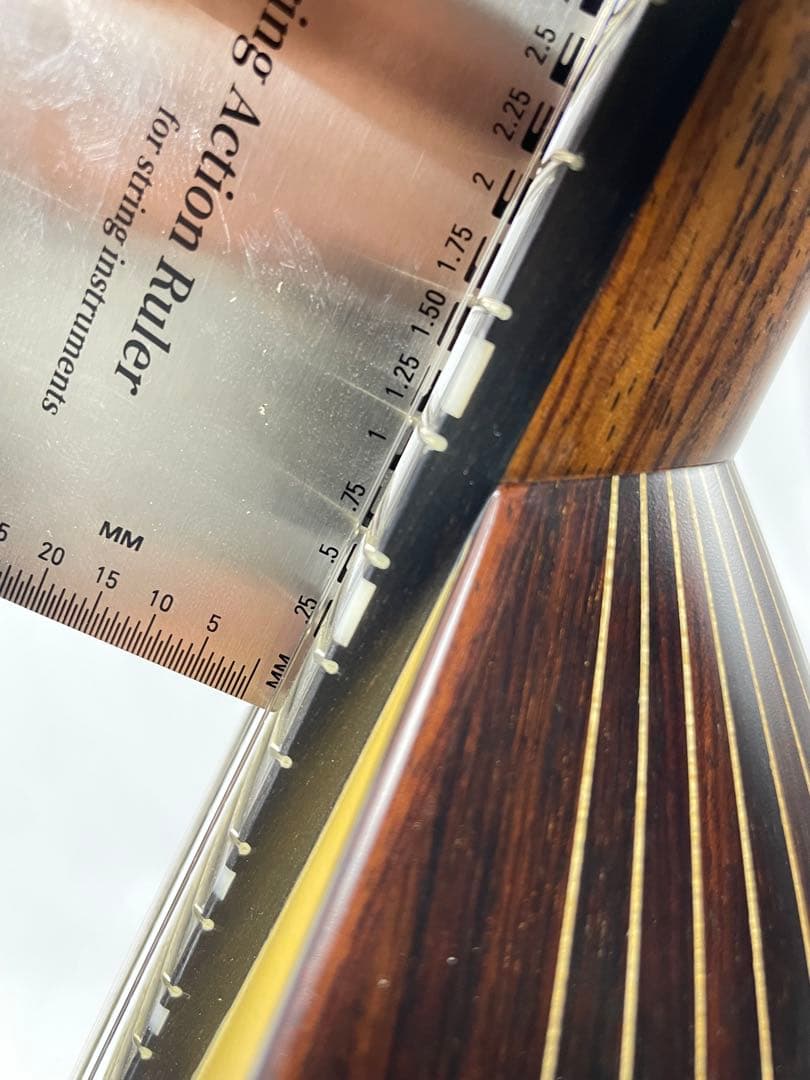 ASTURIAS/アストリアス MS-1bis マンドリン ケース付き