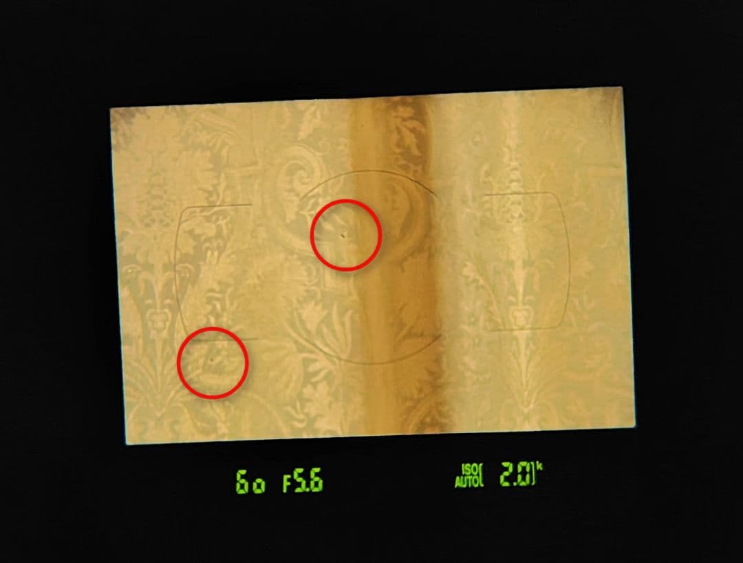 Nikon D5300 ダブルズームキット【アクセサリー付き】