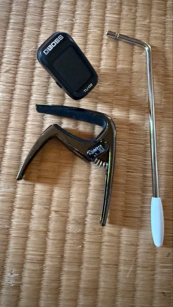 Bacchus SHG-ASH RSM エレキギター