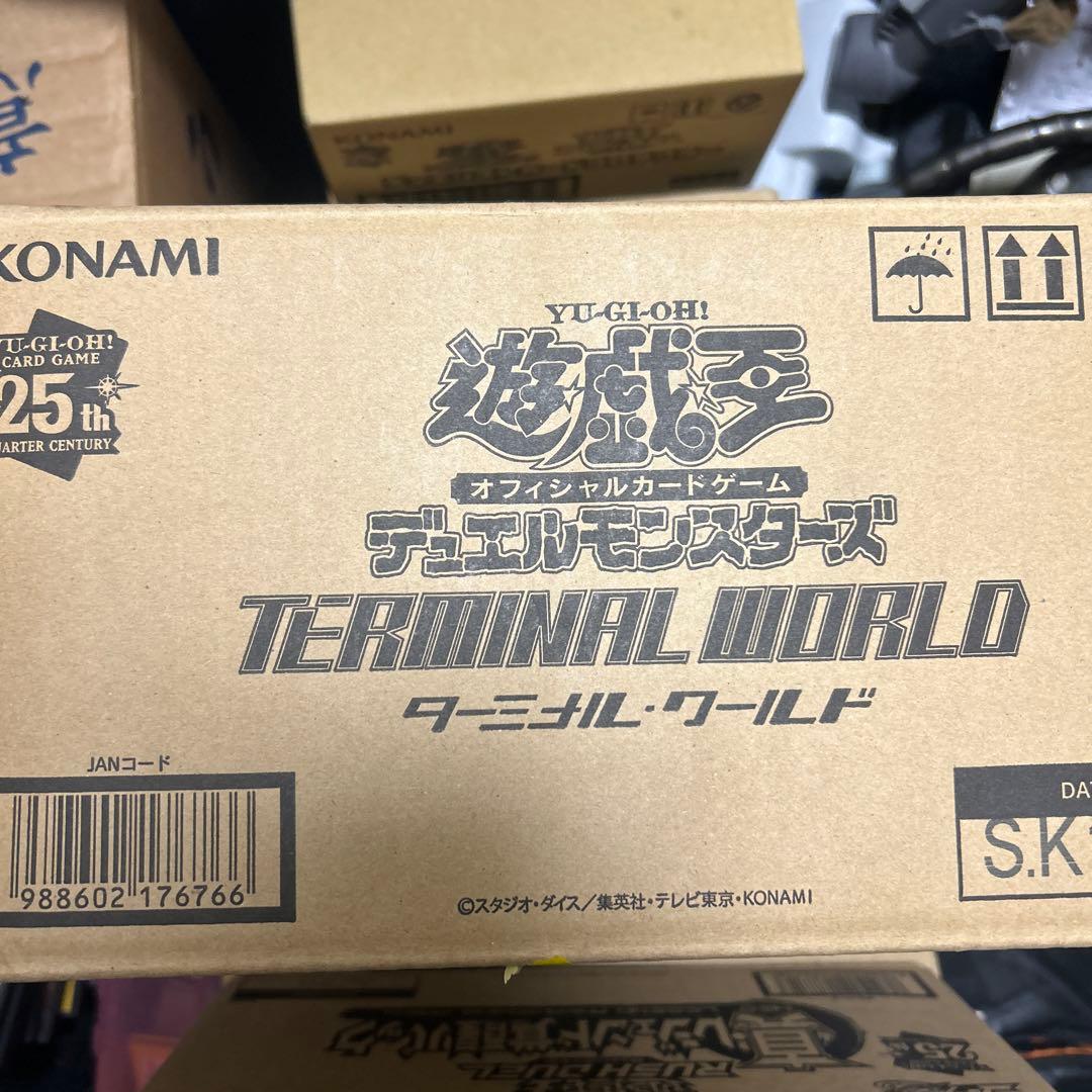 ターミナルワールド1 TW01カートン24BOX入り　未開封