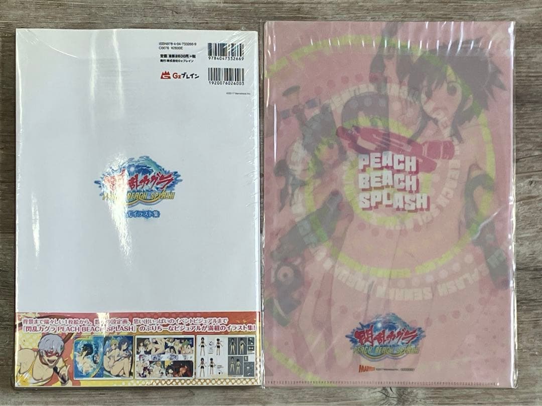 イラスト集 + A4クリアファイル　閃乱カグラ　PBS イラスト集　店舗限定特典