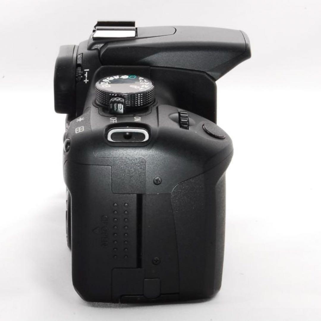 初心者向けCanon Kiss Digital N望遠ズーム付