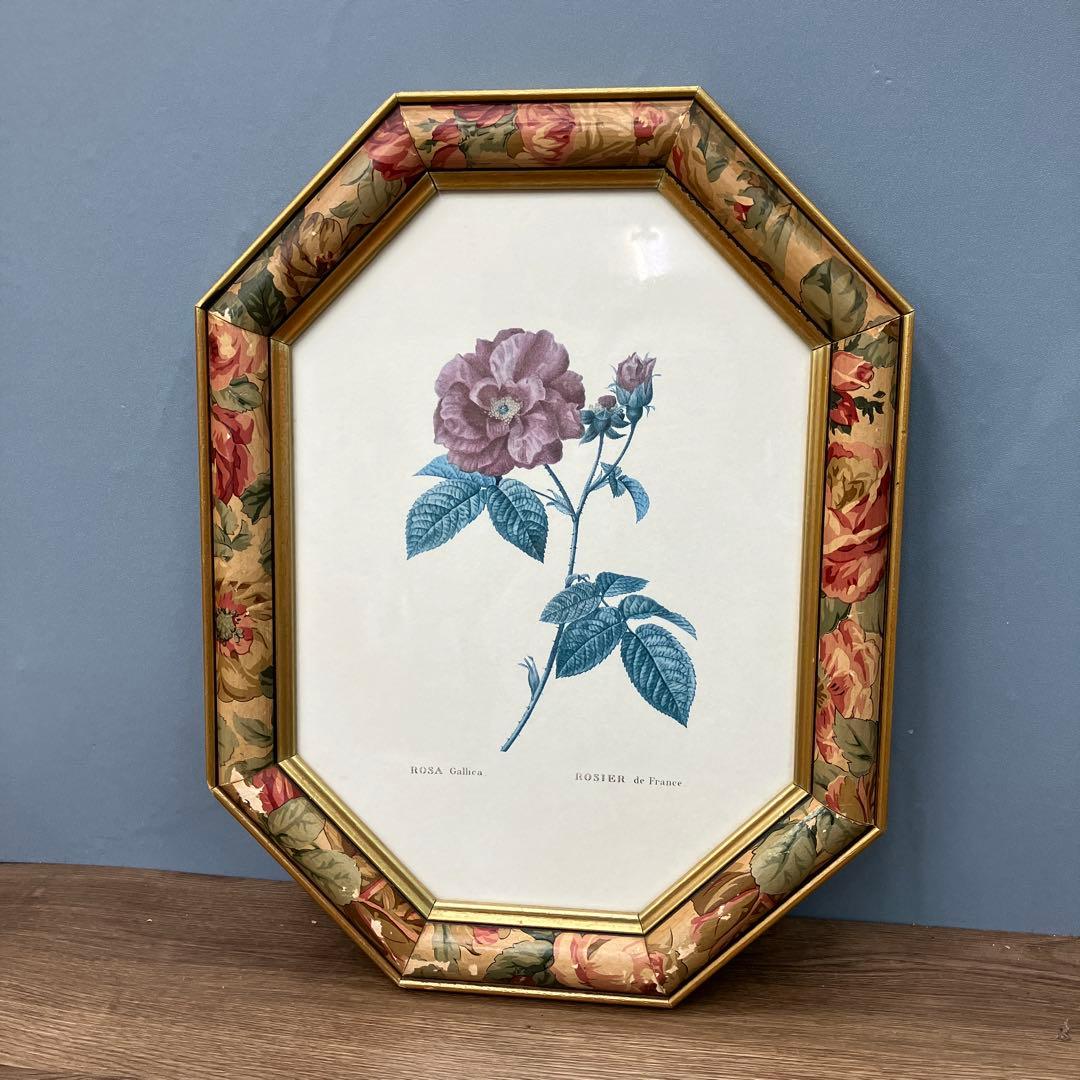 【イタリア製】ボタニカルアート 八角形 額縁 額装 薔薇 ロサ・ガリカ 花 絵画
