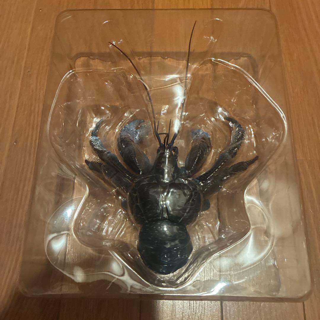 ピ*ノ様 いきもの大図鑑　ヤシガニ