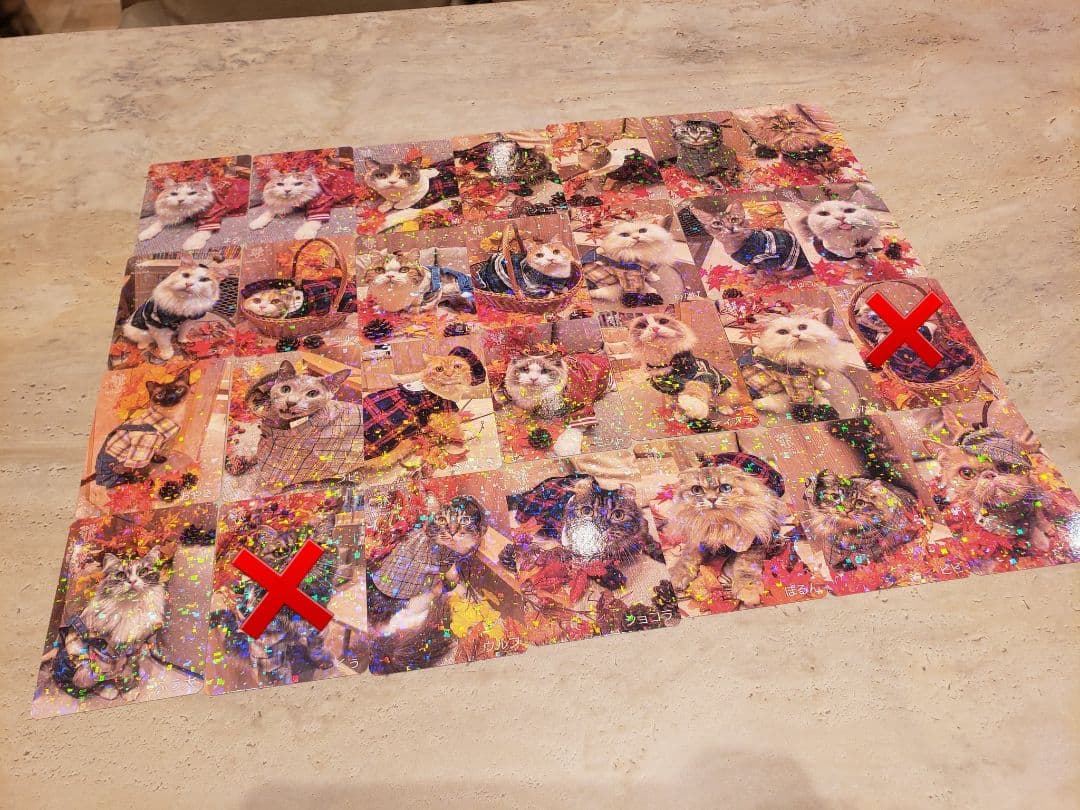 MOCHA　羽生　2025　秋　トレカ