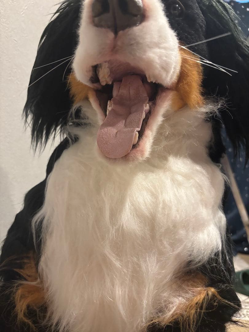 【最終価格】アートドール/ぬいぐるみ/実寸大/バーニーズマウンテンドッグ