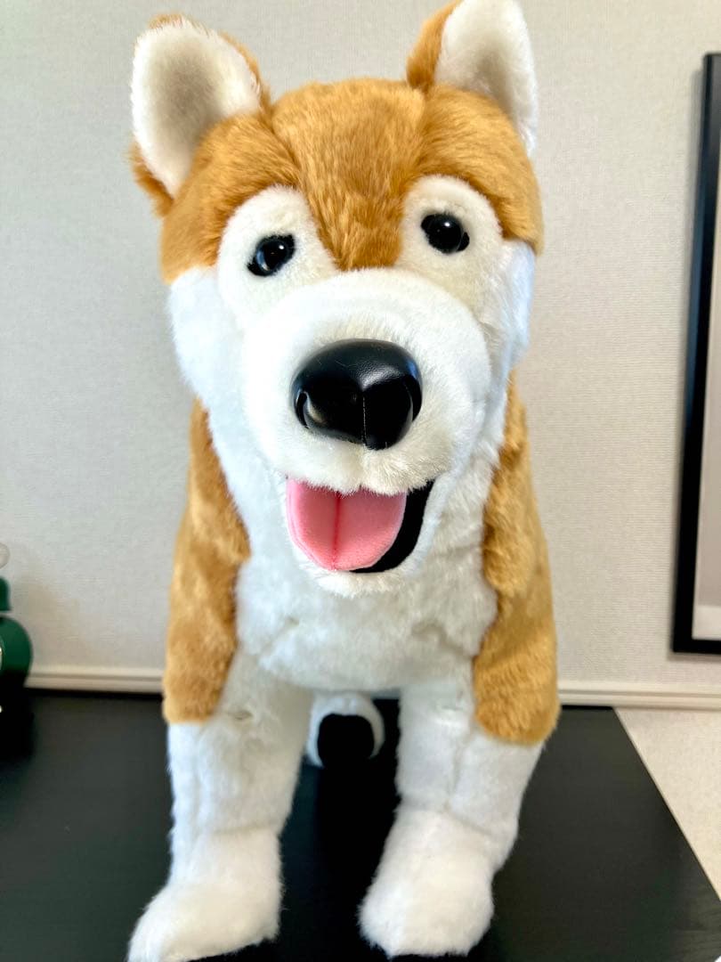 アニフル　保定のできる犬型医療シミュレーター「しばわん」