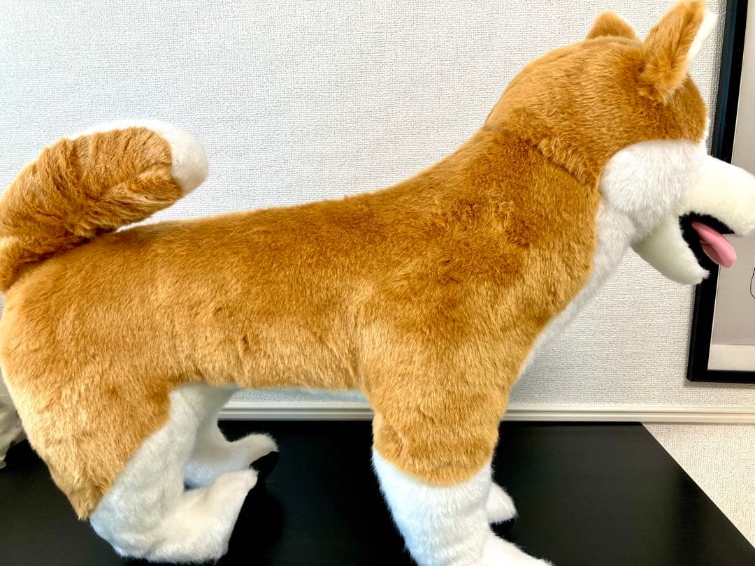 アニフル　保定のできる犬型医療シミュレーター「しばわん」