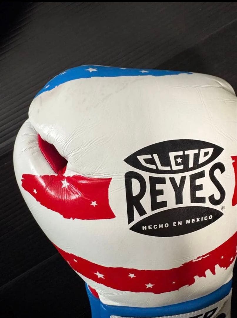 Clete Reyes ボクシンググローブ レイジェス