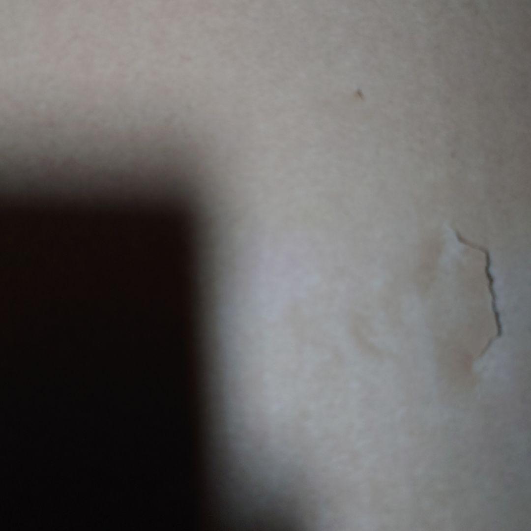 ヘレンド　陶板　バンビ　未使用