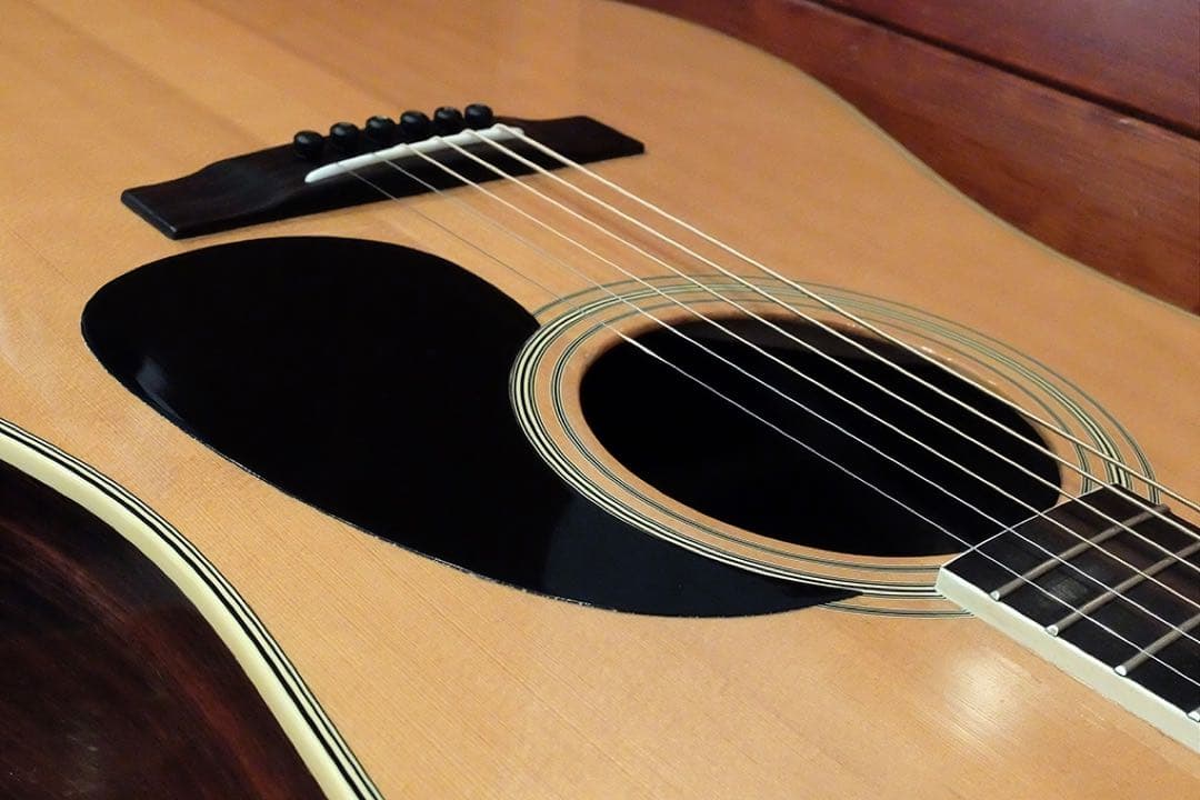 HummingBird W-600 初期超希少 ヴィンテージUSA GLOVER