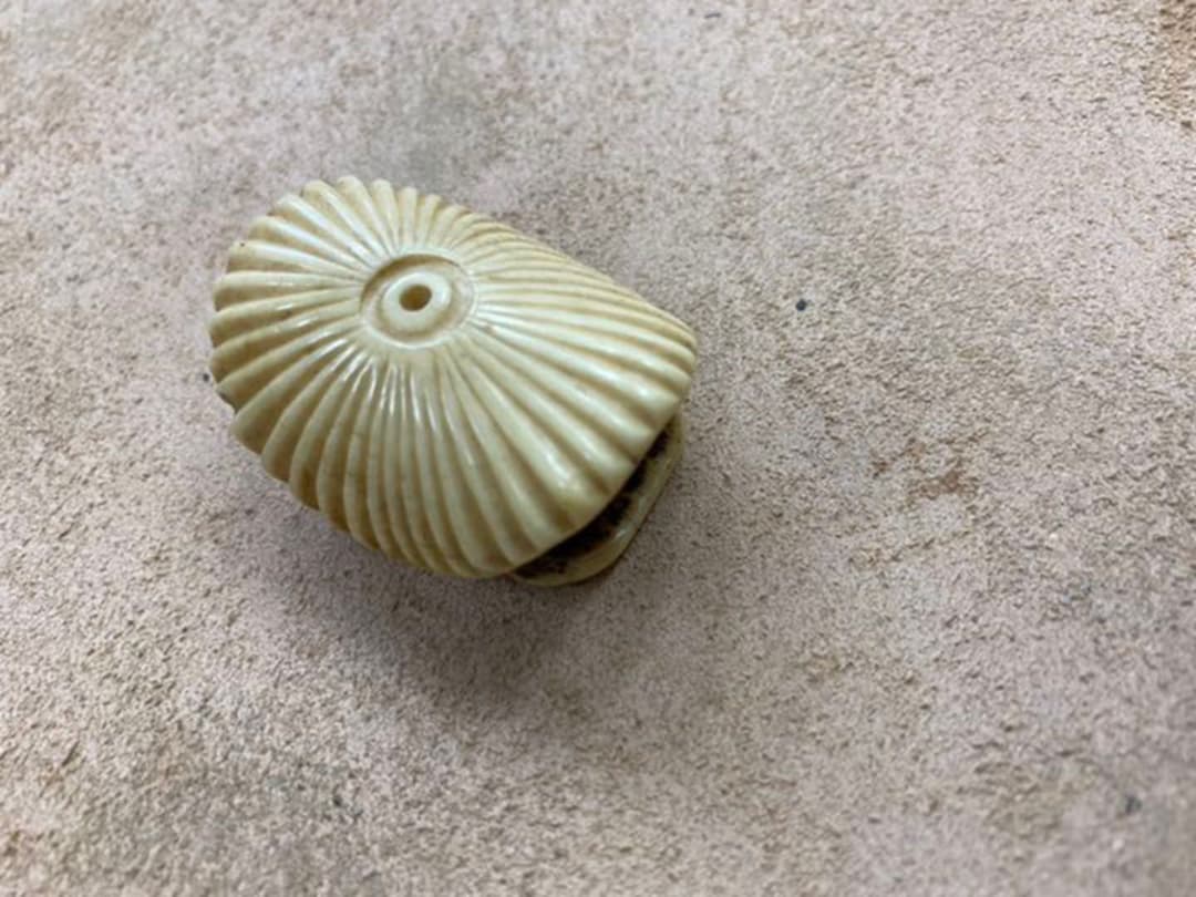 オークセール】根付(ねつけ) 変わり柄