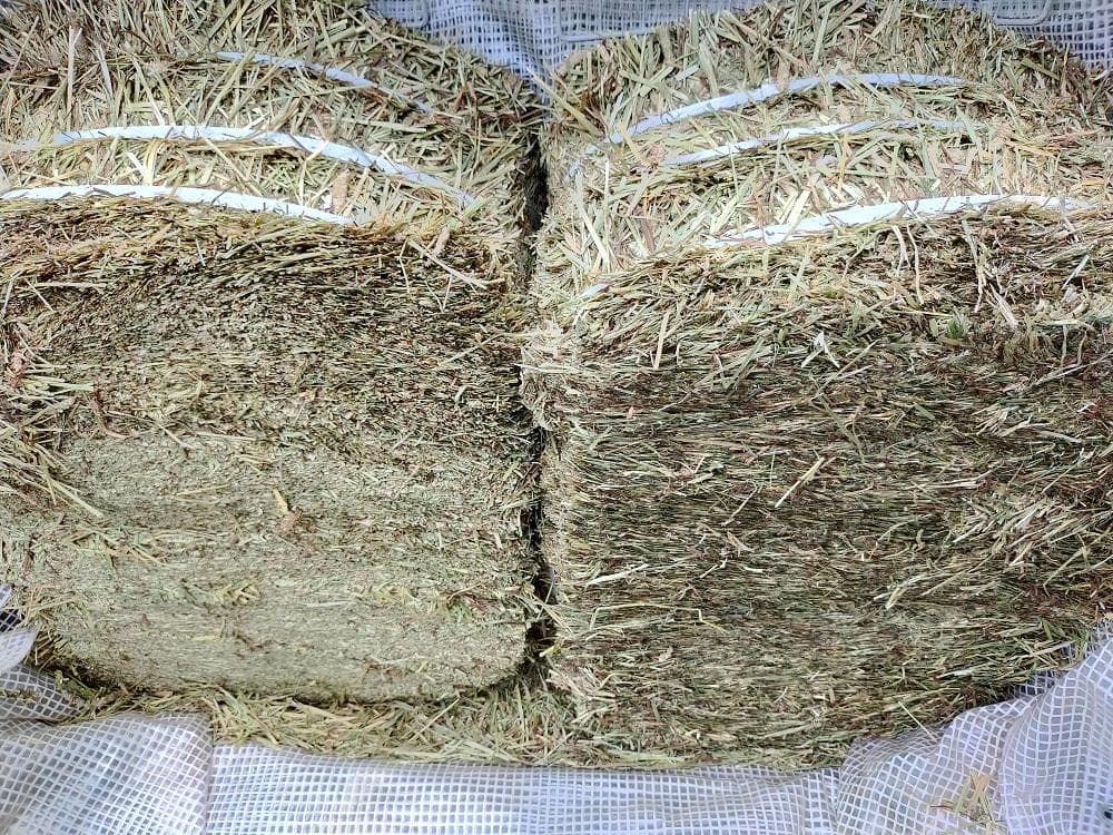 【5/11まで】 カナダ産 チモシー 60kg スーパープレミアム １番刈り