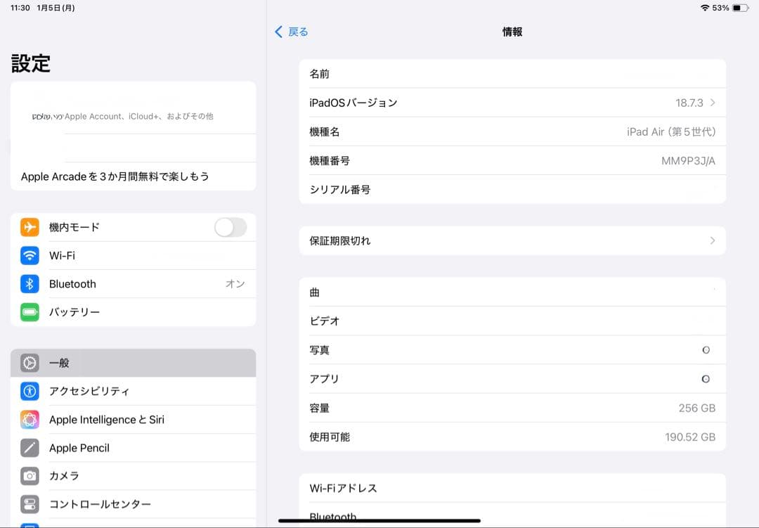 【美品】iPad Air 第5世代 M1チップ 256GB Wi-Fiモデル