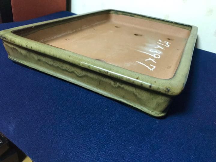 ルンバ君盆栽　盆栽鉢　植木鉢　中国鉢