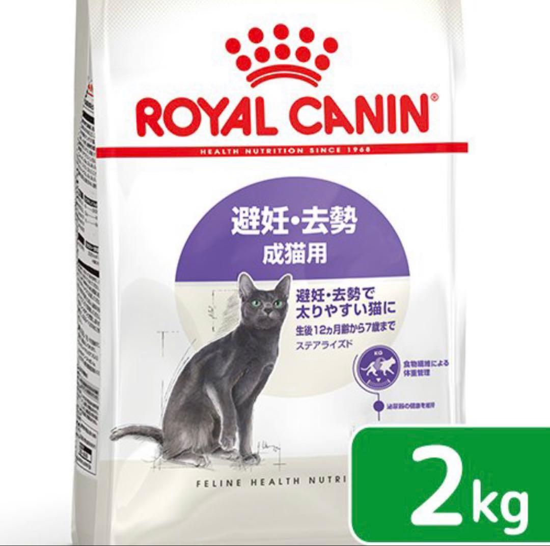  CANIN ドライ・ウェットフードセット 2kg + 85g×48袋