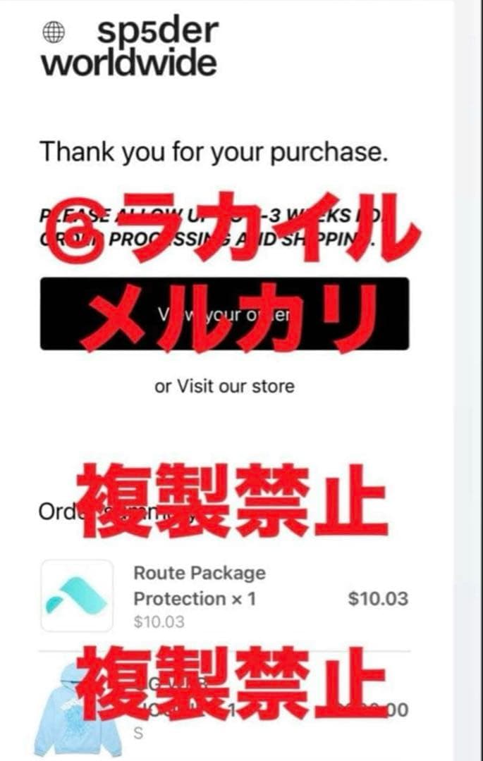 Sp5der Spider Worldwide パーカーog sky blue