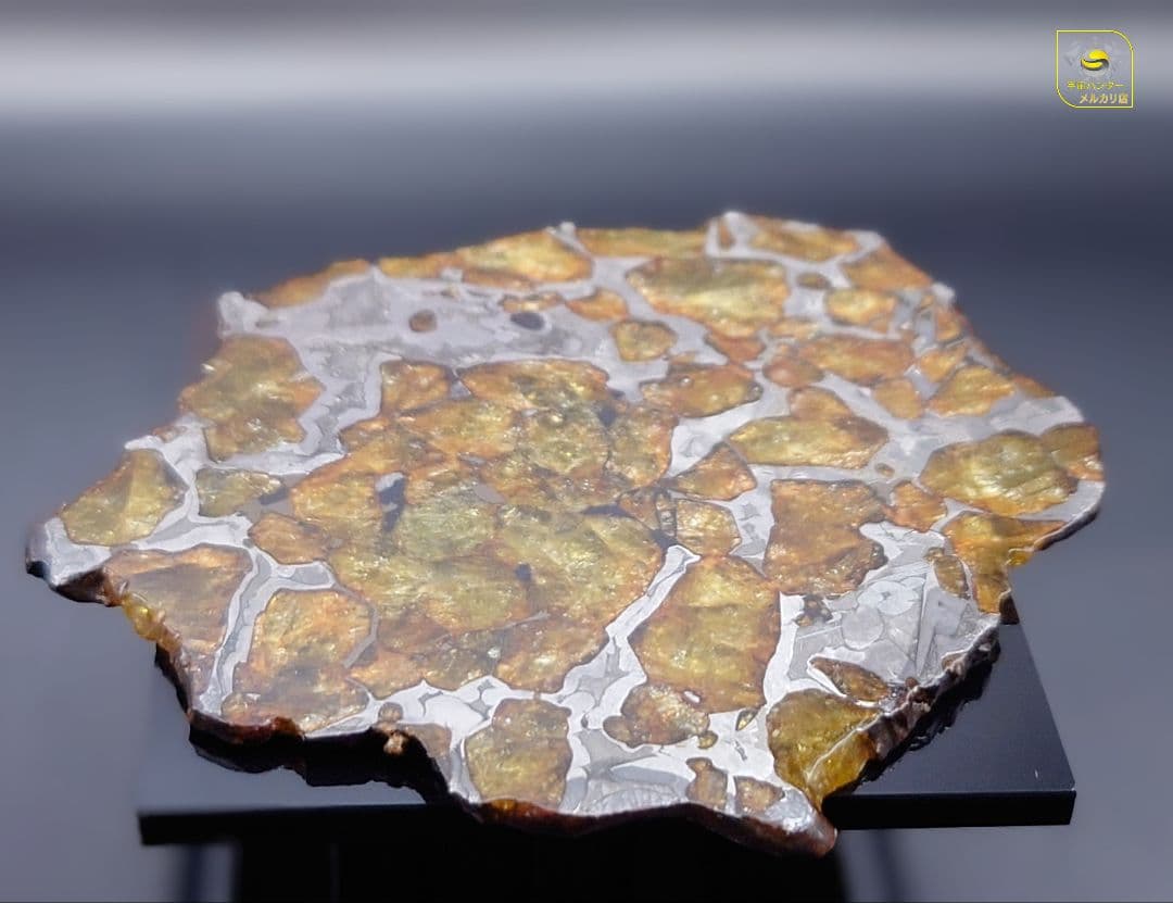 39.65g イミラック パラサイト 隕石 Imilac ⭐