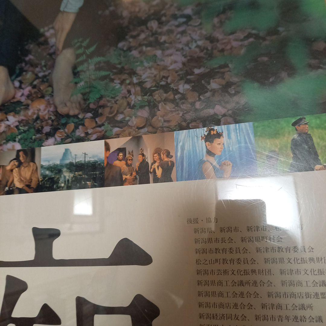 日本映画ポスター　タイトル　白痴　手塚眞監督　浅野忠信