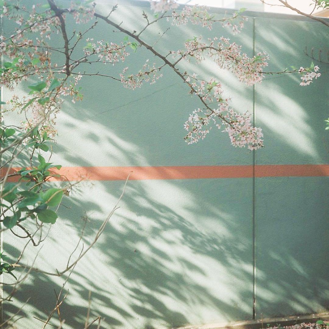 【再値下げ】newmamiya6中判カメラ+G75/3.5＋クローズアップレンズ