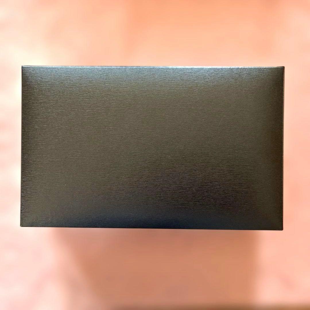 LEONARDO レオナルド モーメントゼロ14KFPトラモントGT 万年筆