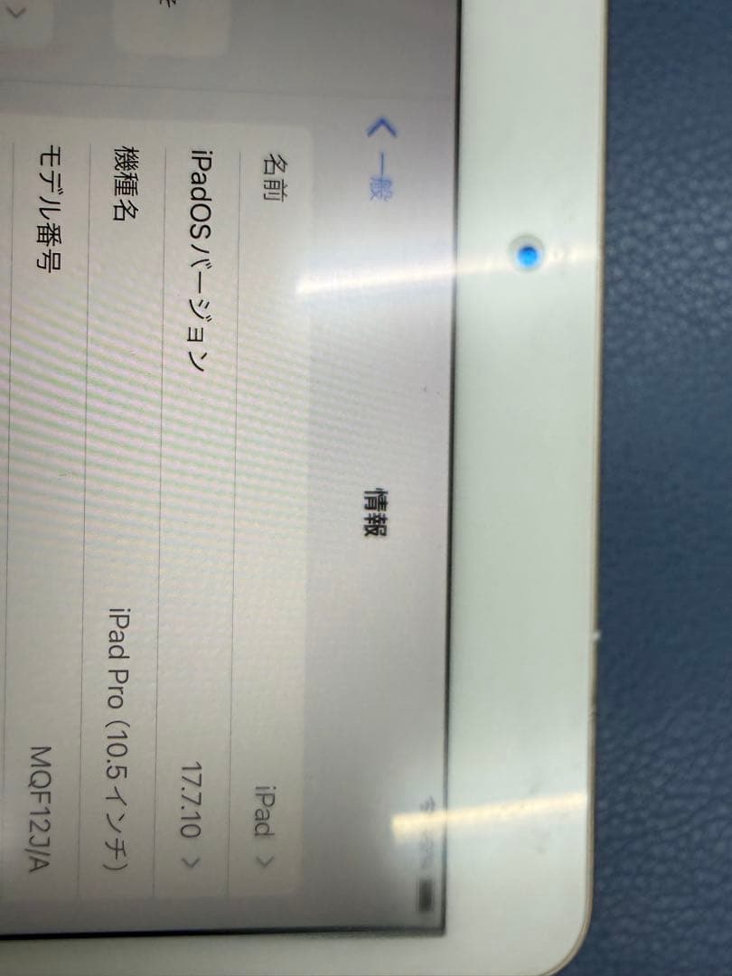 【プチトマトiPad Pro 10.5インチ　Apple Pencil付き