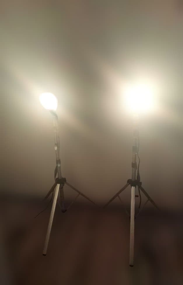 龍電社　RDS スタンドライト2台セット
