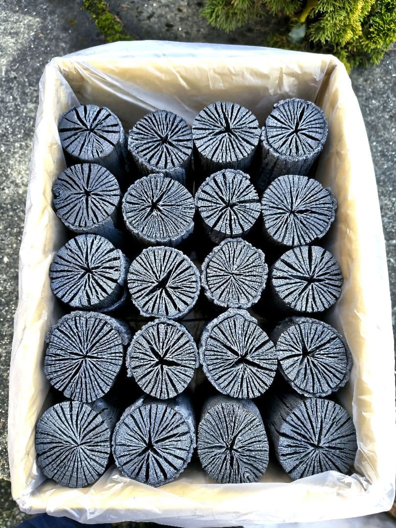 K【愛媛産】クヌギ炉用胴炭約5kg 皮剥がれ