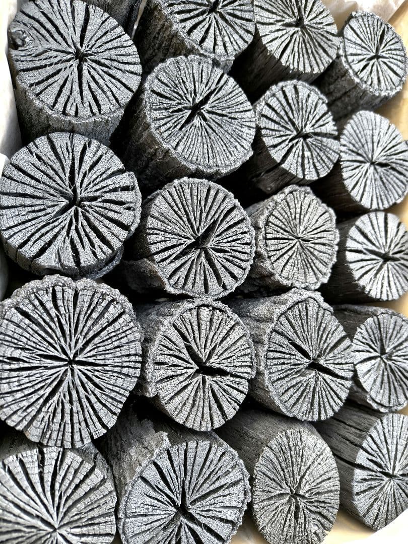 K【愛媛産】クヌギ炉用胴炭約5kg 皮剥がれ