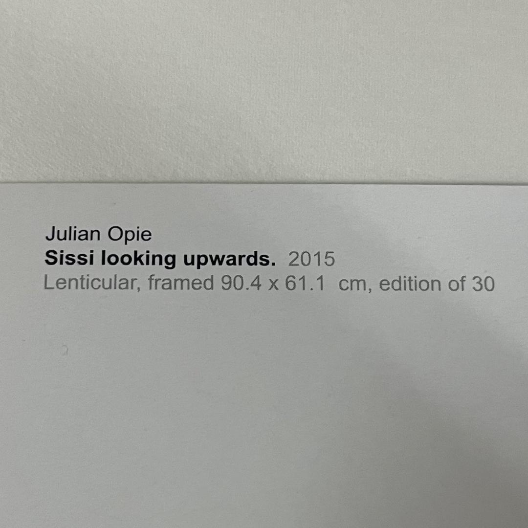 限定マット額装品/Sissi looking/ジュリアン・オピー