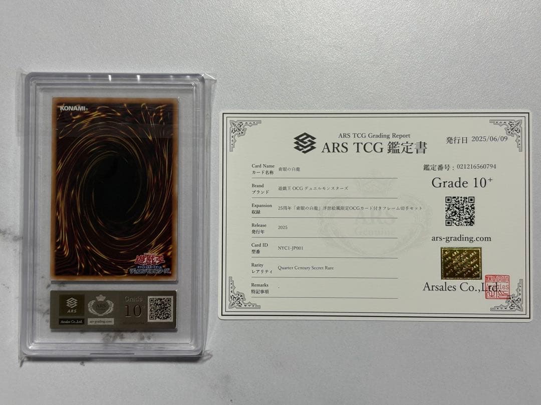 青眼の白龍　浮世絵風　25周年　ARS10+ 鑑定書付き