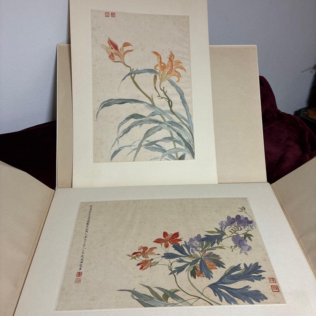 故宮博物院の名蹟 清うん壽平王き花卉山水合冊 二玄社　定価19000円