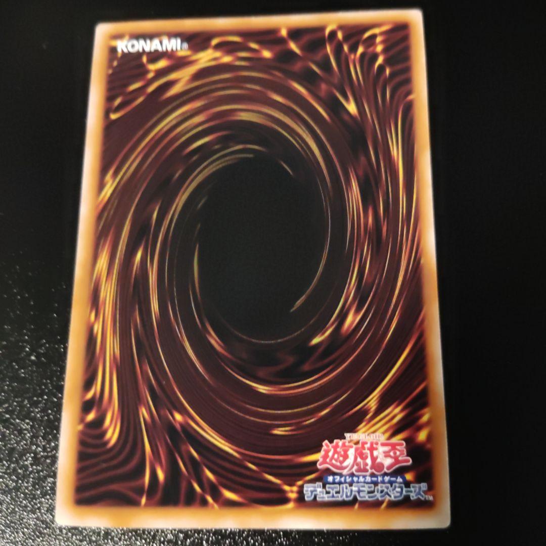 ハーピィの羽根帚　 ハーピィの羽根箒 ハーピィの羽帚 ハーピィの羽箒　絵違い