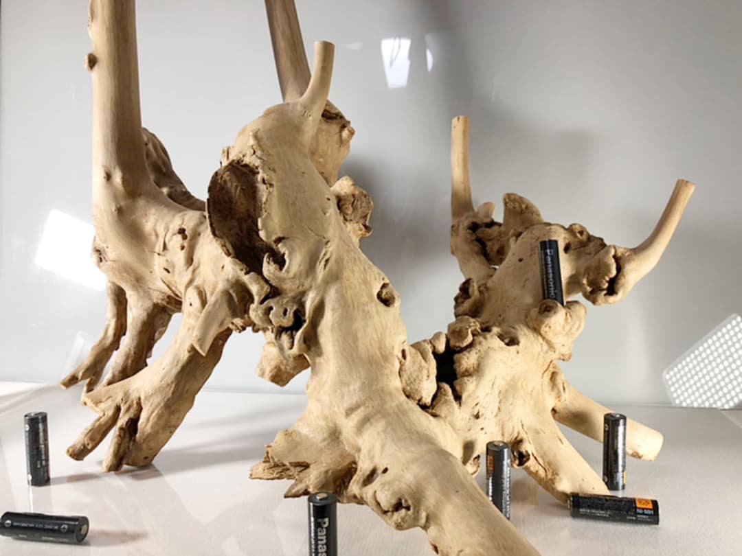 アクアリウム 流木 インテリア