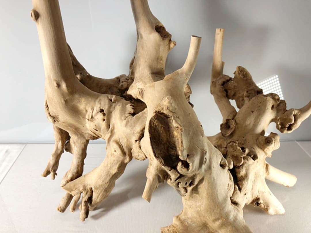 アクアリウム 流木 インテリア