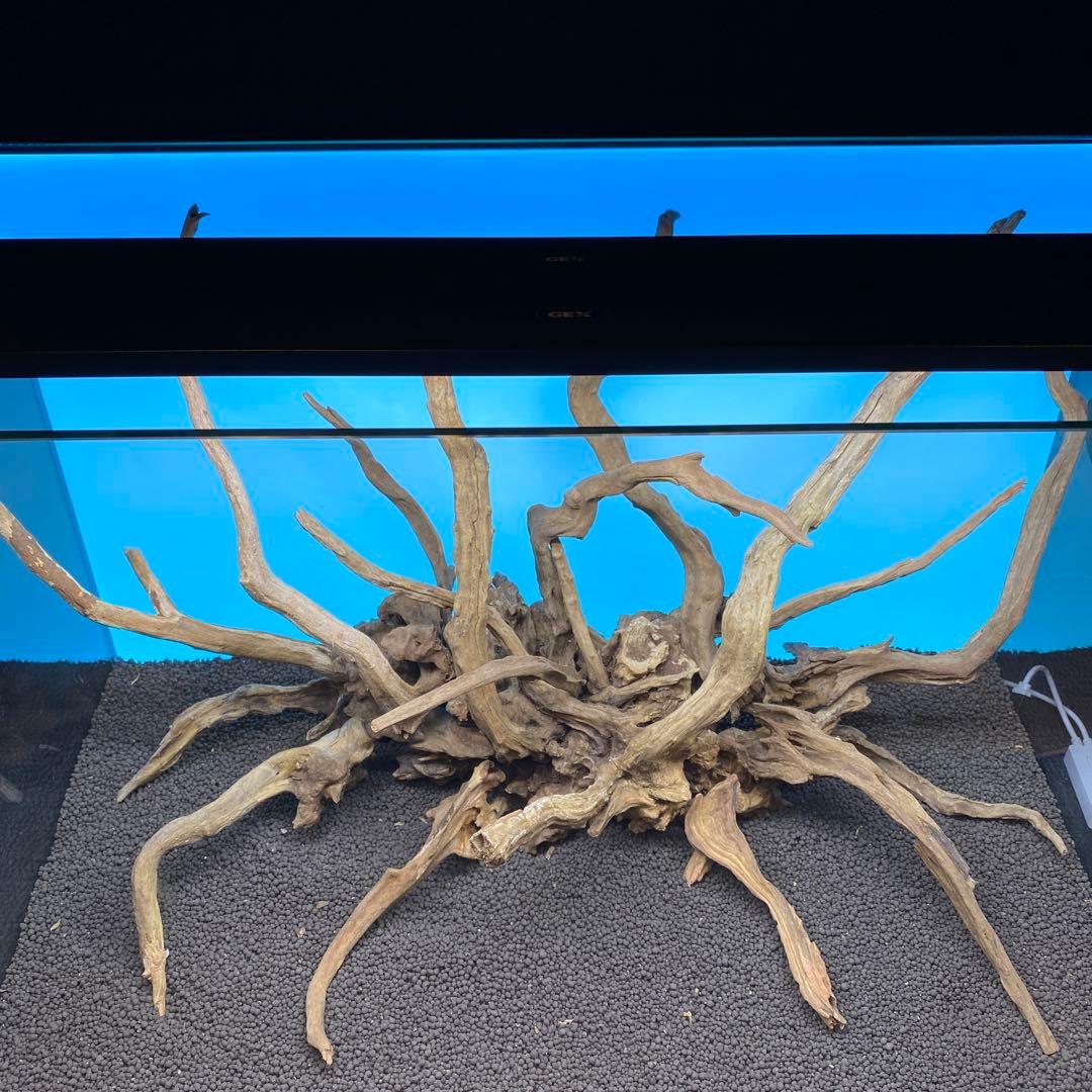 MSRW-6756 スリムウッドレイアウトセット　60cm水槽用流木アクアリウム