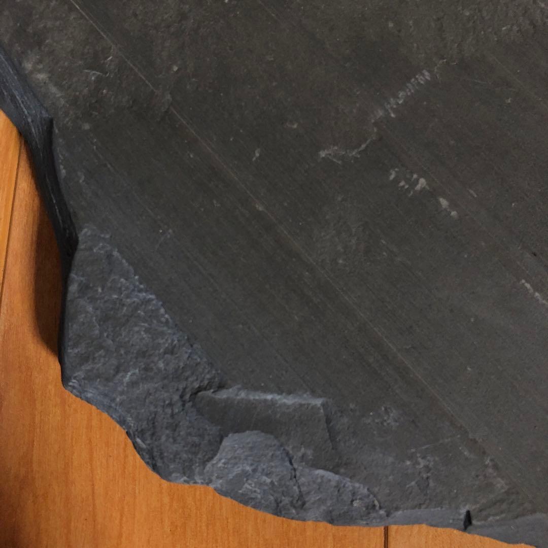 アンモナイト化石