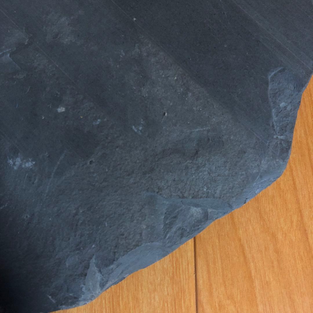 アンモナイト化石