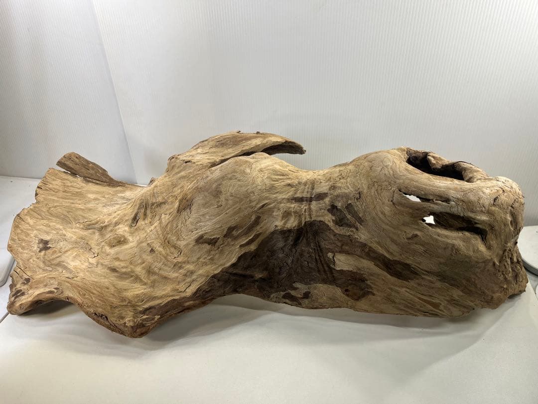 m61特大流木 アク抜き済み 爬虫類シェルター レイアウト用 登り木 インテリア