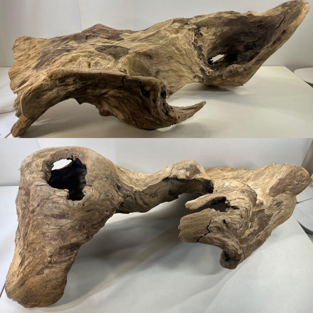 m61特大流木 アク抜き済み 爬虫類シェルター レイアウト用 登り木 インテリア