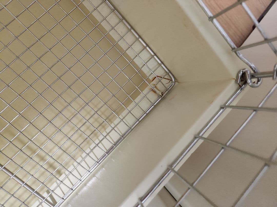 【ロフトなし】ロイヤルチンチラ　カワイ　コンフォート60ハイルーフ　クリーム