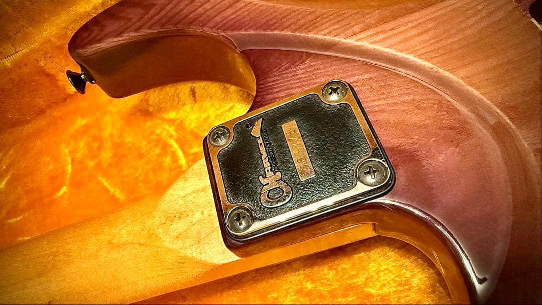 【レア】CHARVEL JACKSON