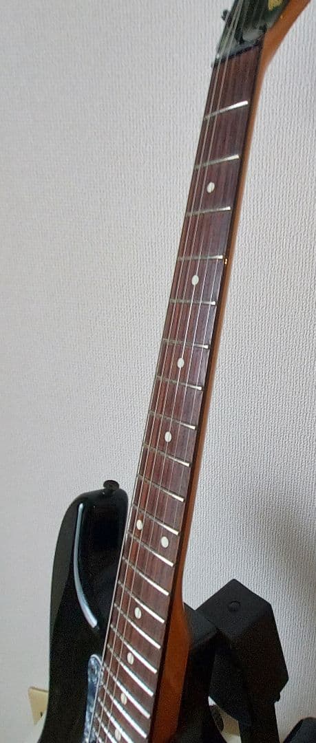 Bill Lawrence ビルローレンス BCOR-55B改　ハードケース付