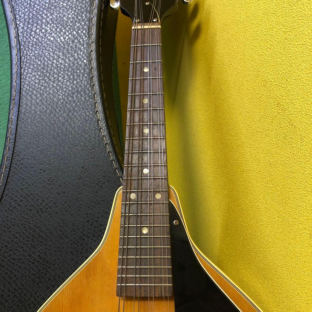 フラットマンドリン 日本製ハードケース付き！