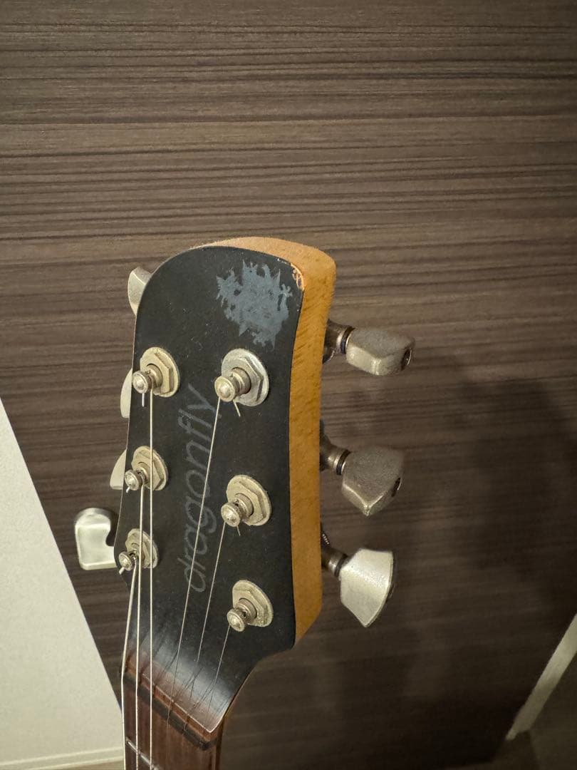 dragofly IL CUORE ギター