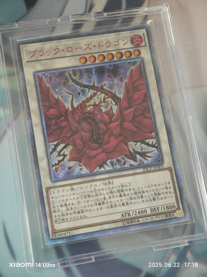 ブラックローズドラゴン　20th